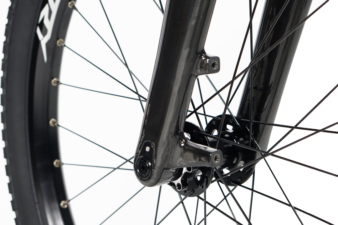 Story Continue Pro 24" Carbon Forks