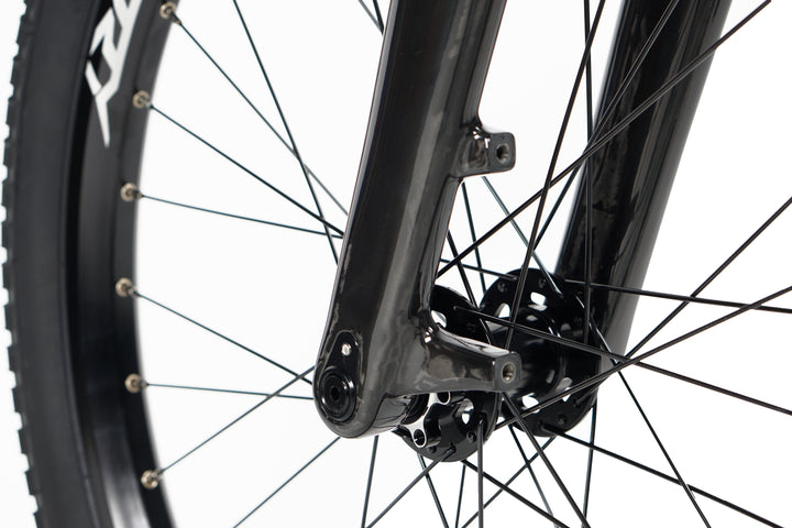 Story Continue Pro 24" Carbon Forks