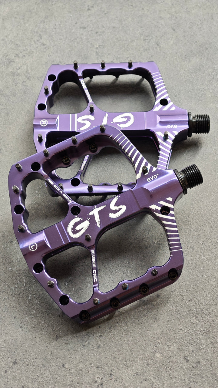 GTS evo+ Pedals (introductory price) in stock now!