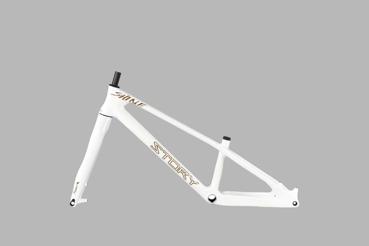 Story Shine Carbon 24 frame kit