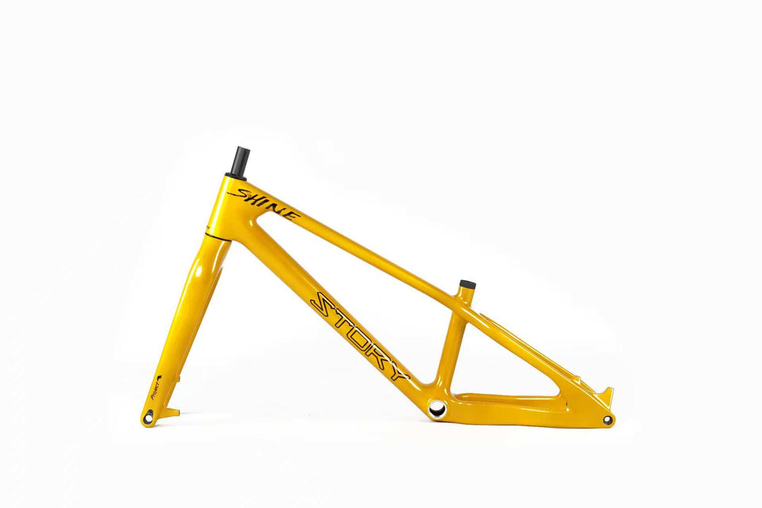Story Shine Carbon 24 frame kit