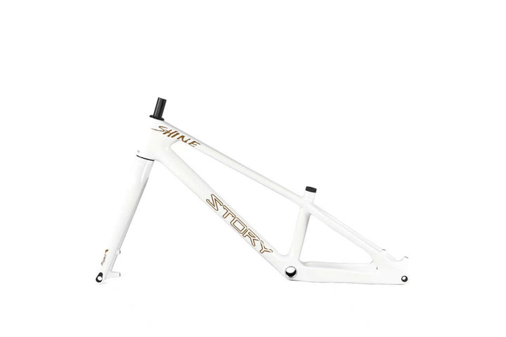 Story Shine Carbon 24 frame kit